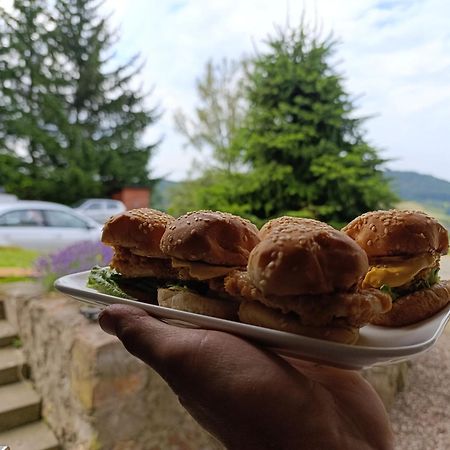 ソコレツSowi Gosciniec Wellness & Breakfastアパートメント エクステリア 写真